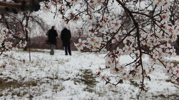 Meteoroloji’den çiftçilere don uyarısı!